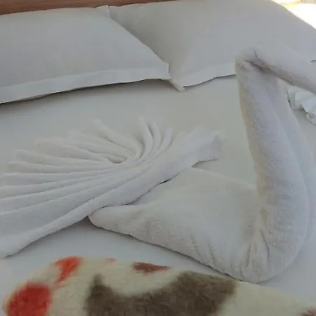 Jasmin Guest house 4*