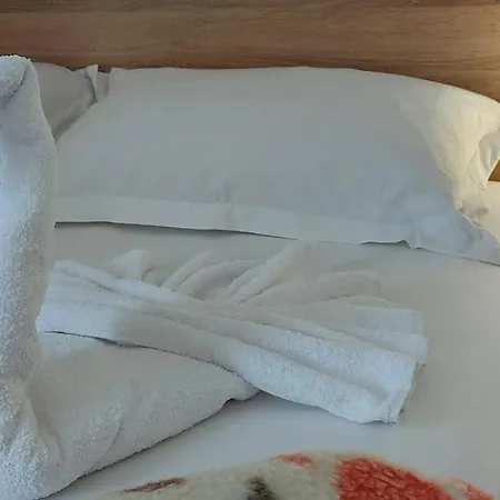 Jasmin Guest house *